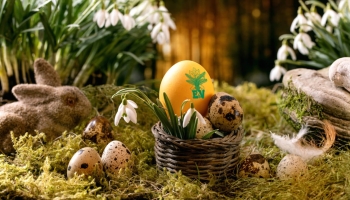 Der Erzgebirgsverein wünscht "Frohe Ostern"